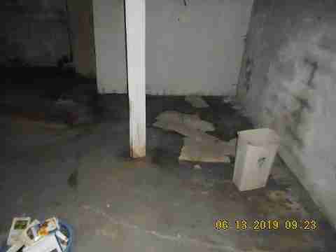 14567 Freeland (18)_m.jpg